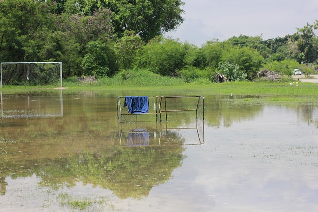 像阿里巴巴 像阿里巴巴