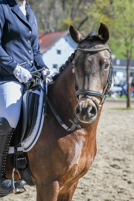 其实也是在 其实也是在