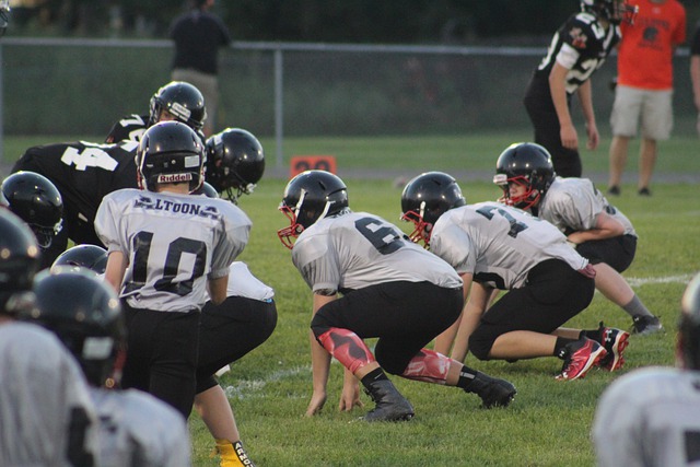 的努力固然 的努力固然