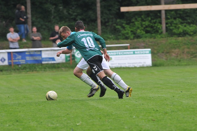 阵皇家社会 阵皇家社会