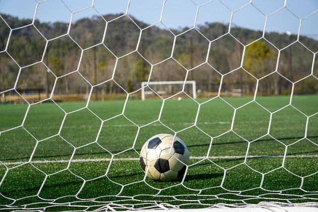 团队运动 团队运动