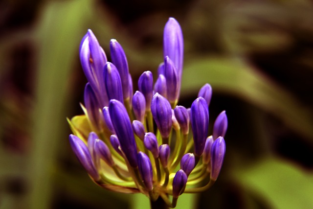 的训练计划 的训练计划