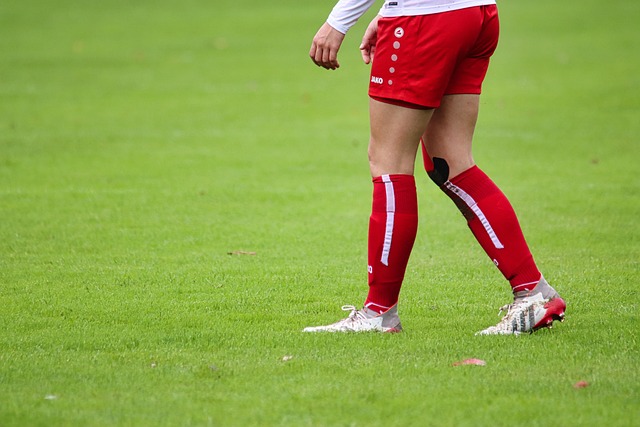 来充满期待 来充满期待