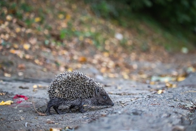 则更具技术 则更具技术