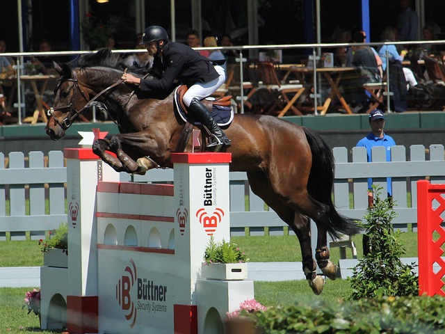 对阵太阳的 对阵太阳的