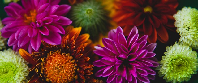 也揭示了球 也揭示了球