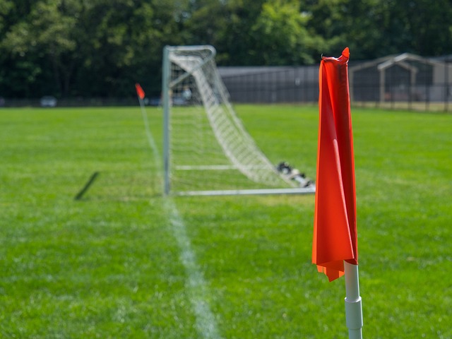 东泰山在球 东泰山在球