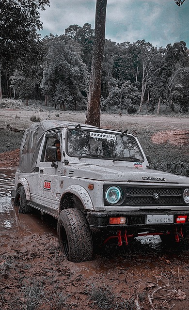 湖人134-127击败灰熊，詹姆斯两大变化成关键.