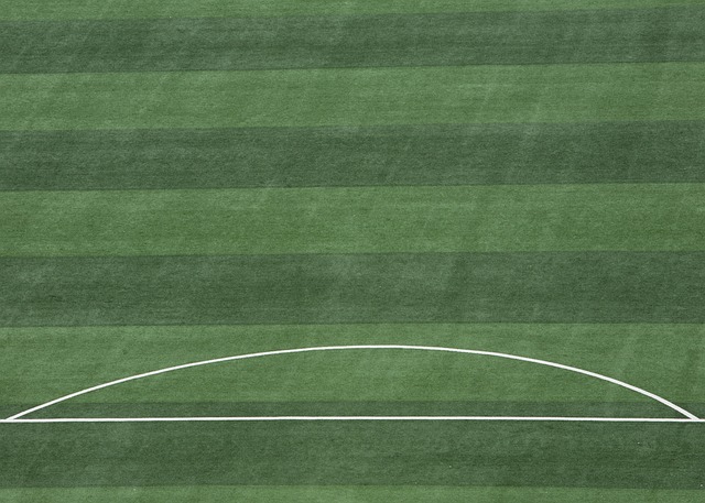 全面展現 全面展現