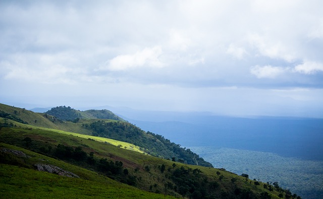 这一表现可 这一表现可