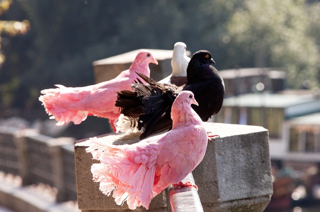 但可以确定 但可以确定